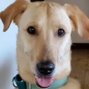Profile photo of Lillian